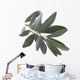 olive branch Wall Decal