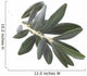 olive branch Wall Decal