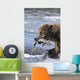 A Brown Bear Carries Away A Chum Salmon It Caught Wall Mural