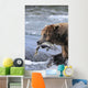 A Brown Bear Carries Away A Chum Salmon It Caught Wall Mural