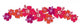 Hibiscus Flowers 5 Wall Mural