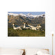 Group Of Dall Sheep Rams On Ridge Polychrome Pass Wall Mural