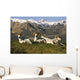 Group Of Dall Sheep Rams On Ridge Polychrome Pass Wall Mural