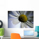 Close Up Of Daisy Bloom Sw Alaska Summer Still Life/Nnear King Salmon Wall Mural