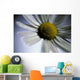 Close Up Of Daisy Bloom Sw Alaska Summer Still Life/Nnear King Salmon Wall Mural