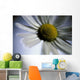 Close Up Of Daisy Bloom Sw Alaska Summer Still Life/Nnear King Salmon Wall Mural