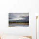 Young Grizzly Fishing At Hallo Bay, Katmai National Park, Alasaka Wall Mural