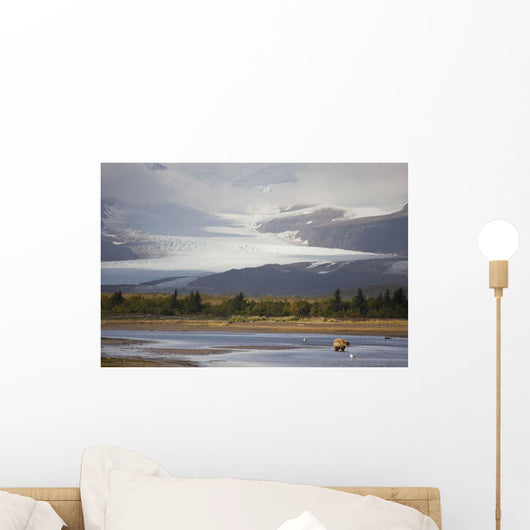 Young Grizzly Fishing At Hallo Bay, Katmai National Park, Alasaka Wall Mural