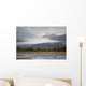 Young Grizzly Fishing At Hallo Bay, Katmai National Park, Alasaka Wall Mural