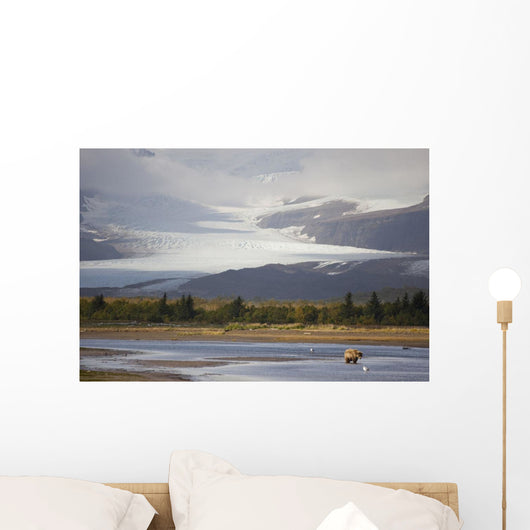 Young Grizzly Fishing At Hallo Bay, Katmai National Park, Alasaka Wall Mural