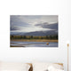 Young Grizzly Fishing At Hallo Bay, Katmai National Park, Alasaka Wall Mural