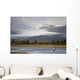 Young Grizzly Fishing At Hallo Bay, Katmai National Park, Alasaka Wall Mural
