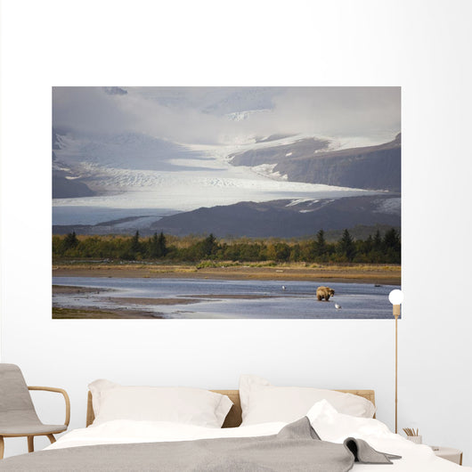 Young Grizzly Fishing At Hallo Bay, Katmai National Park, Alasaka Wall Mural