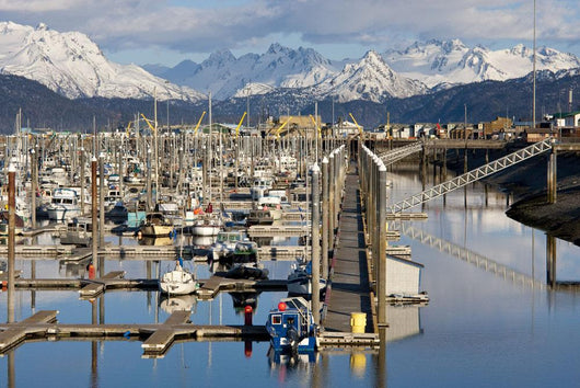 Homer Boat Harbor In Spring, Kenai Peninsula, Alaska Wall Mural