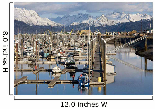 Homer Boat Harbor In Spring, Kenai Peninsula, Alaska Wall Mural