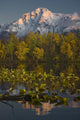 Scenic View Of Pioneer Peak Reflecting In Echo Lake At Sunset Wall Mural