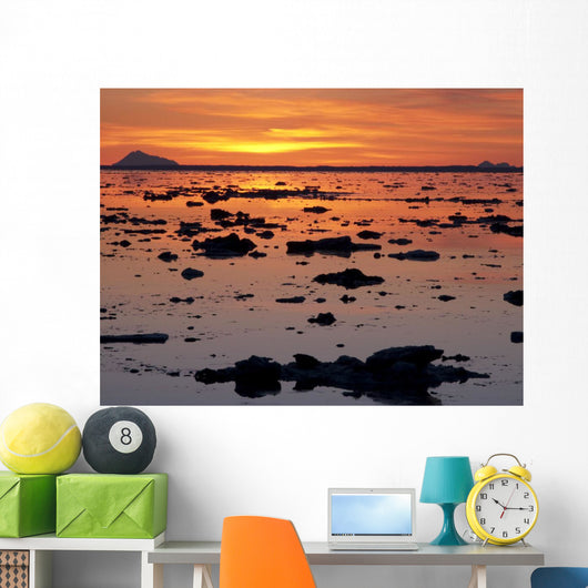 Scattered Ice On Turnagain Arm With Sun Setting Behind Mt Redoubt Wall Mural