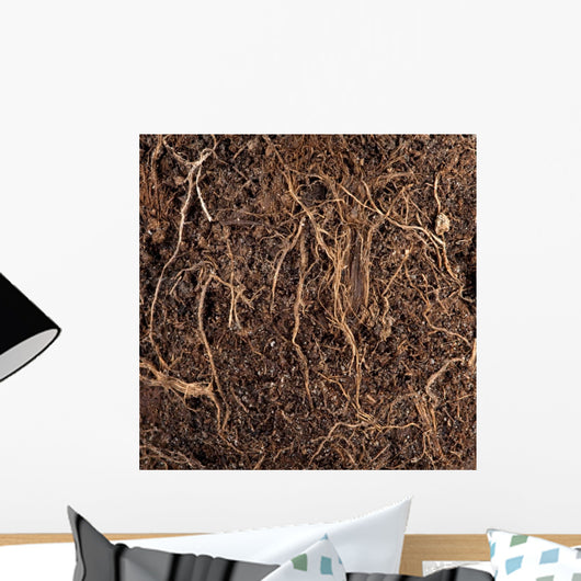 Roots in a soil background Wall Mural