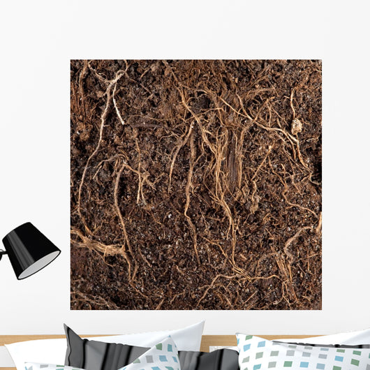 Roots in a soil background Wall Mural