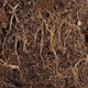 Roots in a soil background Wall Mural