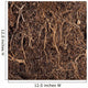 Roots in a soil background Wall Mural