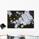 Ice Bubbles Formed In Clear Ice At Potter Marsh, Southcentral Alaska Wall Mural