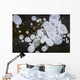 Ice Bubbles Formed In Clear Ice At Potter Marsh, Southcentral Alaska Wall Mural