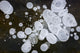 Ice Bubbles Formed In Clear Ice At Potter Marsh, Southcentral Alaska Wall Mural