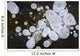 Ice Bubbles Formed In Clear Ice At Potter Marsh, Southcentral Alaska Wall Mural
