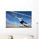 Goalie Wall Mural