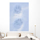 Close Up Of Dog Paw Tracks On Snow Winter Alaska Sc Wall Mural