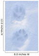 Close Up Of Dog Paw Tracks On Snow Winter Alaska Sc Wall Mural