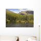 Fly Fisherman Casting for Wall Decal