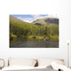 Fly Fisherman Casting for Wall Decal