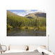 Fly Fisherman Casting for Wall Decal