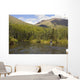 Fly Fisherman Casting for Wall Decal