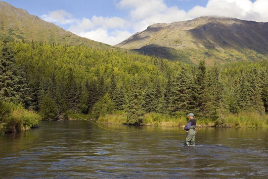Fly Fisherman Casting for Wall Decal