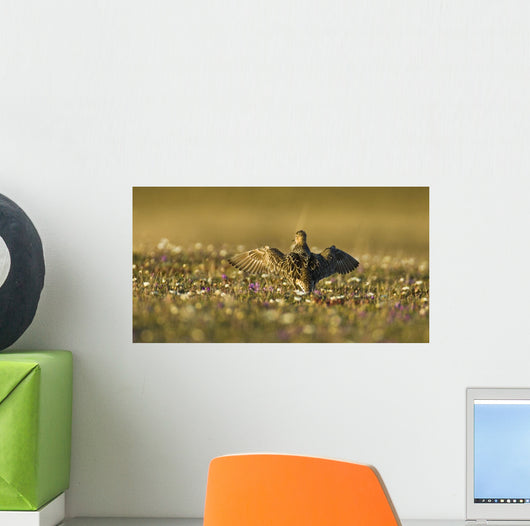 Tundra Na Male Buff-breasted Wall Decal