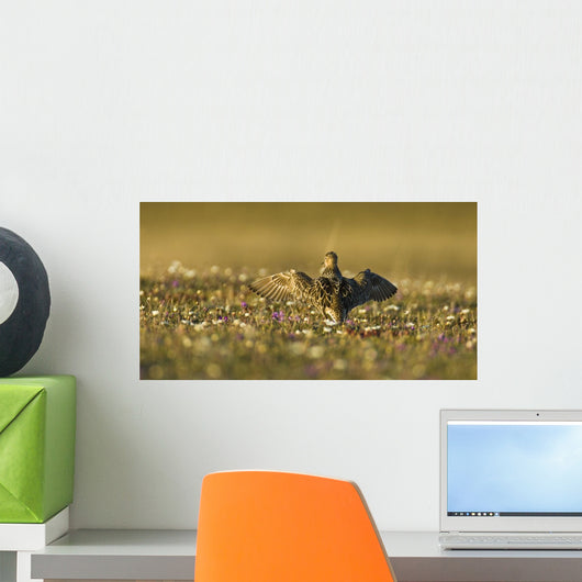 Tundra Na Male Buff-breasted Wall Decal