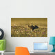 Tundra Na Male Buff-breasted Wall Decal