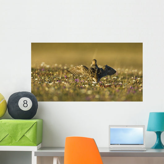 Tundra Na Male Buff-breasted Wall Decal