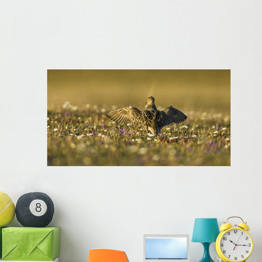 Tundra Na Male Buff-breasted Wall Decal