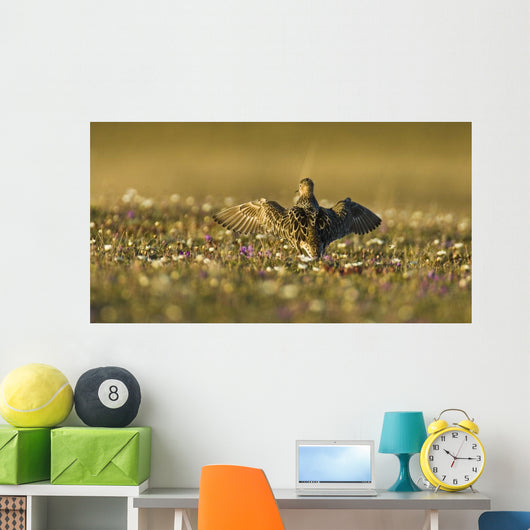 Tundra Na Male Buff-breasted Wall Decal