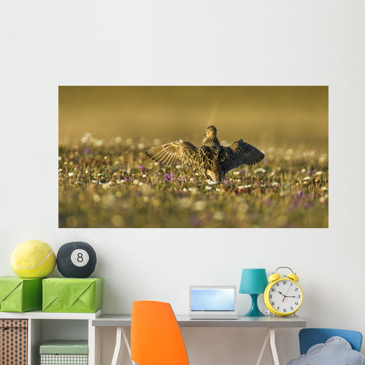 Tundra Na Male Buff-breasted Wall Decal