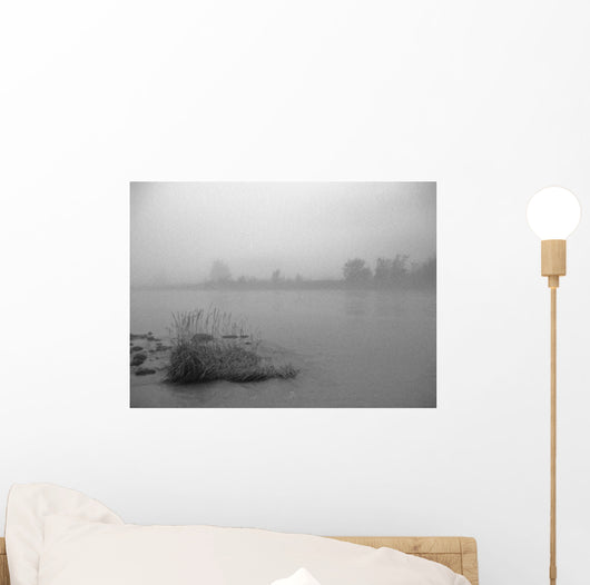 Fog Over Taiya River Near Dyea Alaska Se Summer B&W Wall Mural