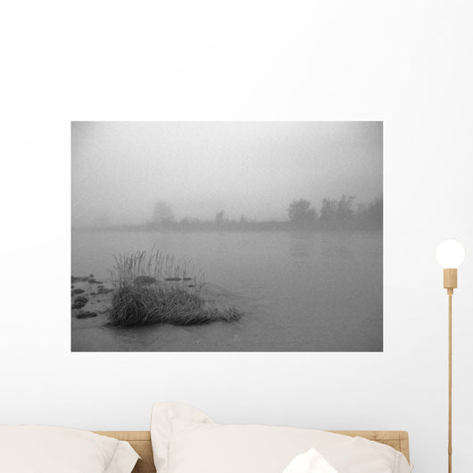 Fog Over Taiya River Near Dyea Alaska Se Summer B&W Wall Mural
