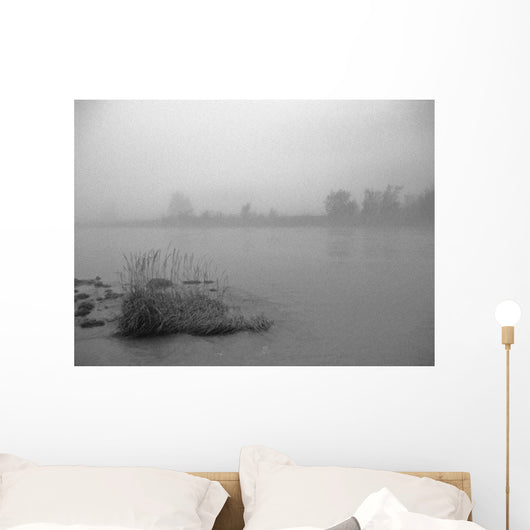 Fog Over Taiya River Near Dyea Alaska Se Summer B&W Wall Mural