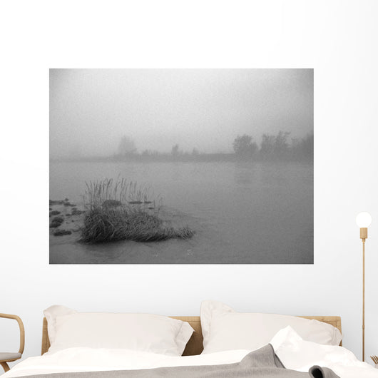 Fog Over Taiya River Near Dyea Alaska Se Summer B&W Wall Mural