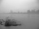 Fog Over Taiya River Near Dyea Alaska Se Summer B&W Wall Mural