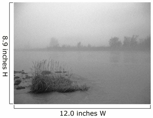 Fog Over Taiya River Near Dyea Alaska Se Summer B&W Wall Mural